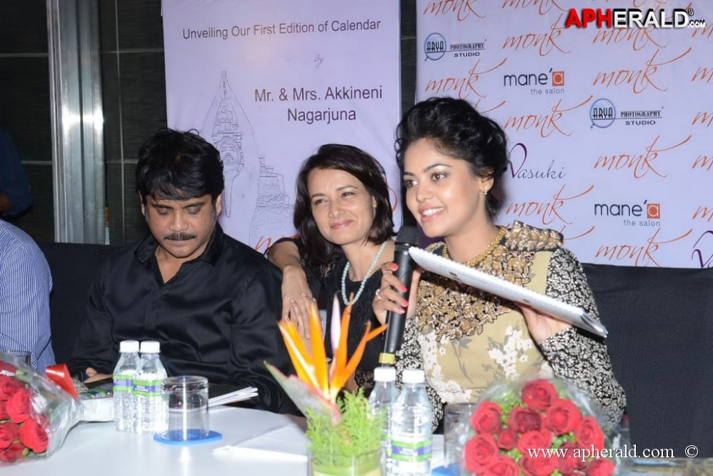 Bindu Madhavi Fashion Calendar 2014 Launch Event