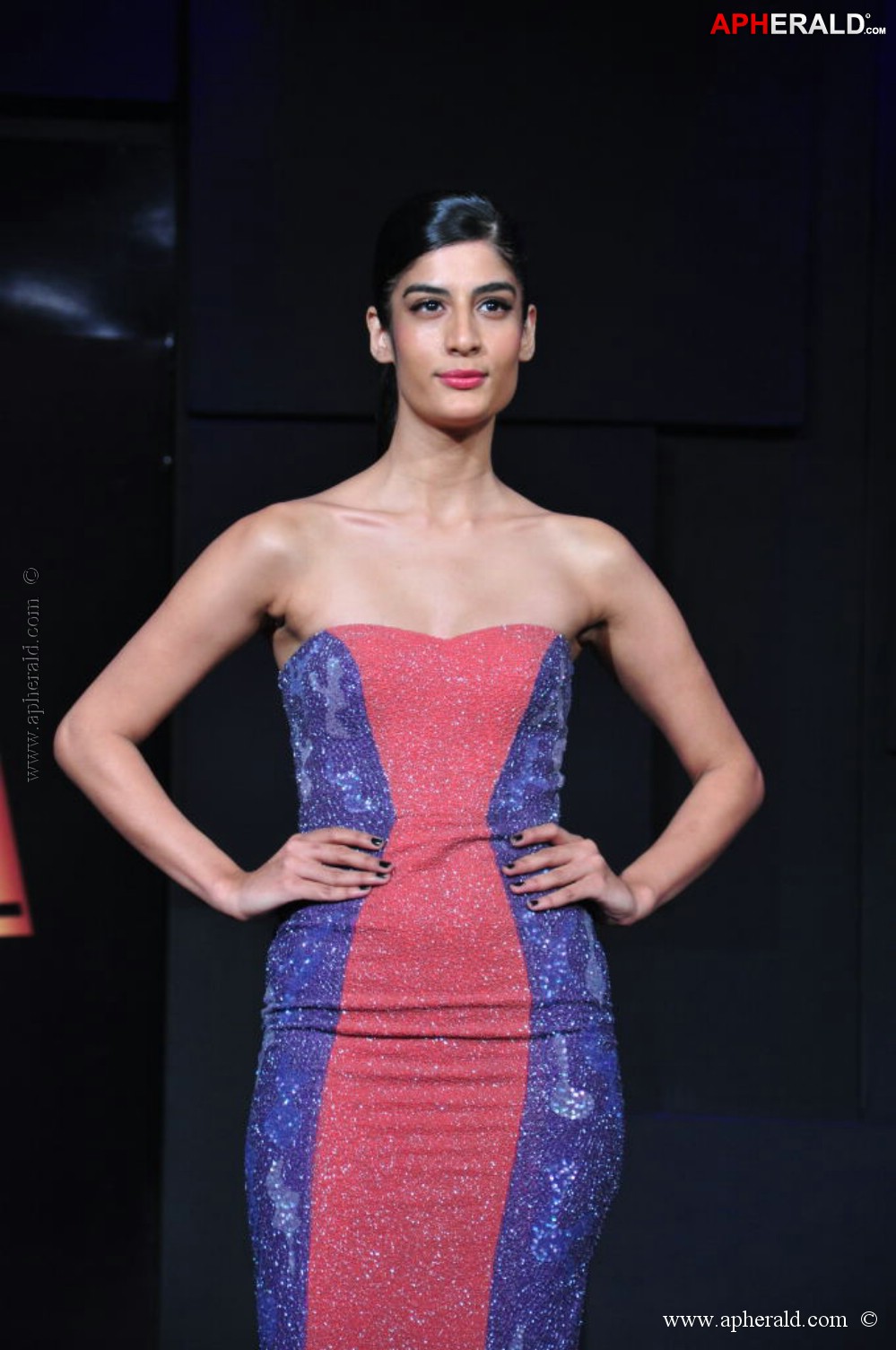 Celebs at Blenders Pride Fashion Photos