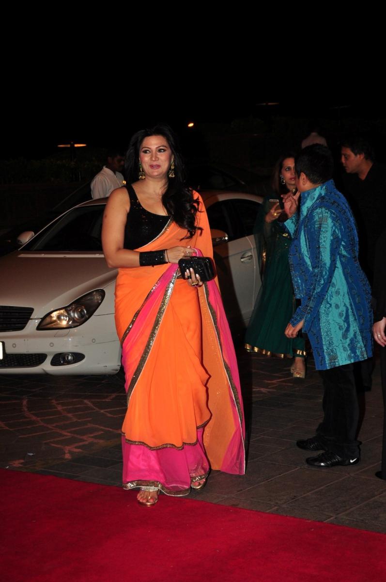 Celebs at Salman Khans Sister Arpita Wedding Reception