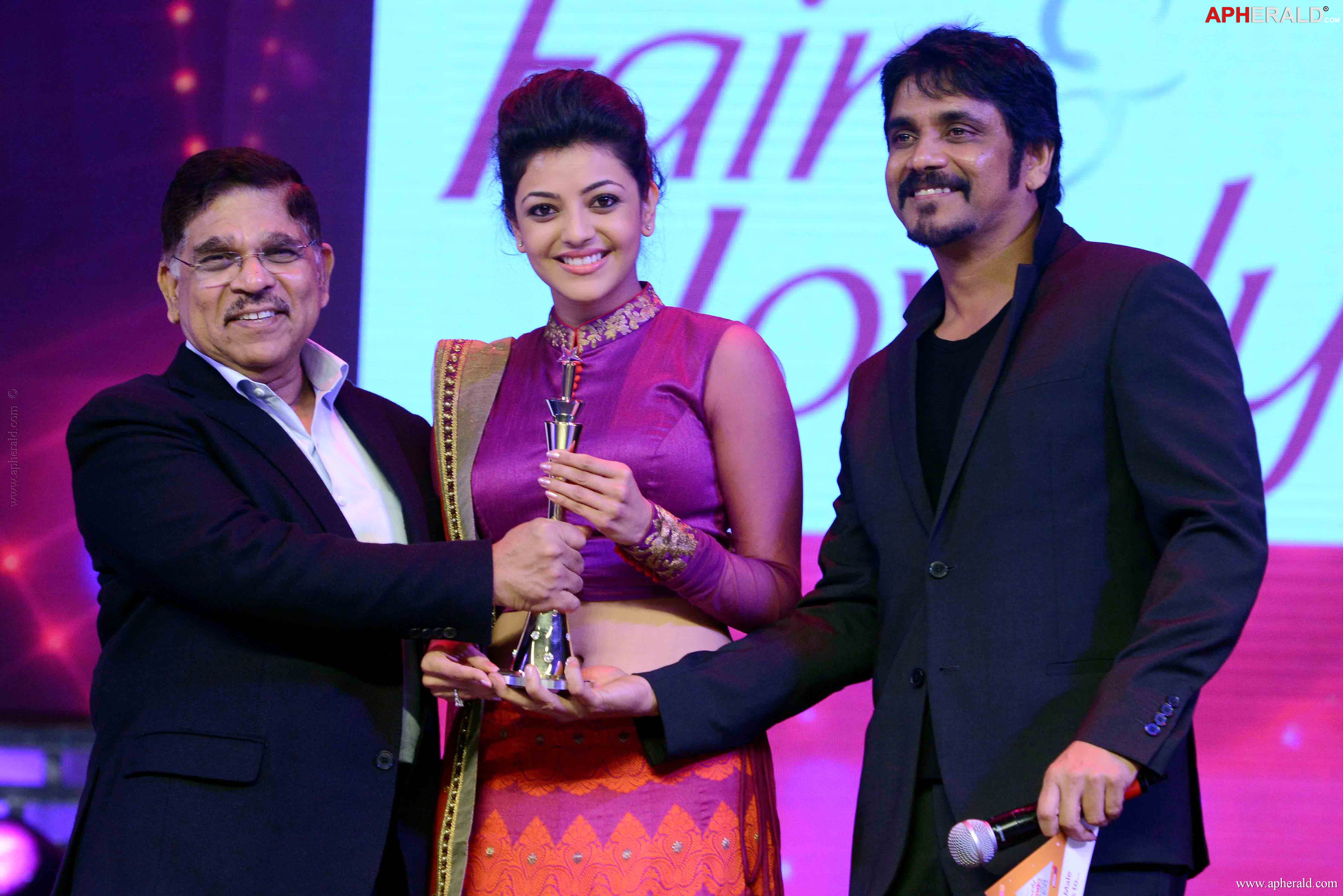 Cinemaa Awards 2013 Part 2