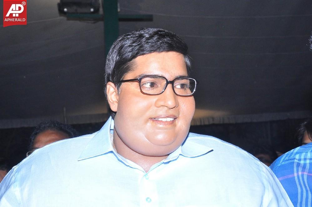 Laddu Babu Movie Audio Launch 2