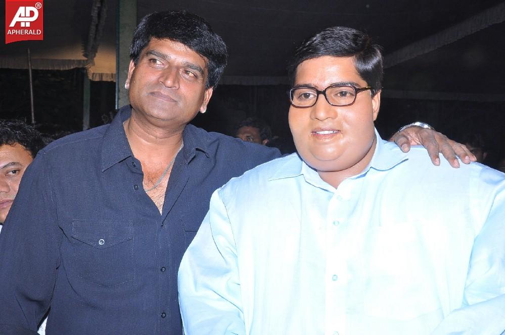 Laddu Babu Movie Audio Launch 2