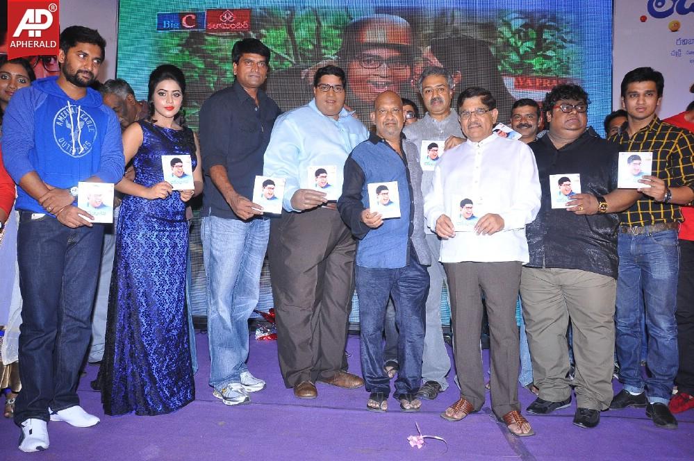 Laddu Babu Movie Audio Launch 2