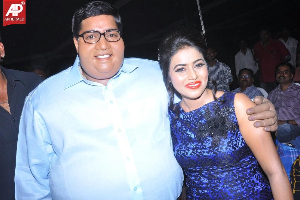 Laddu Babu Movie Audio Launch 2