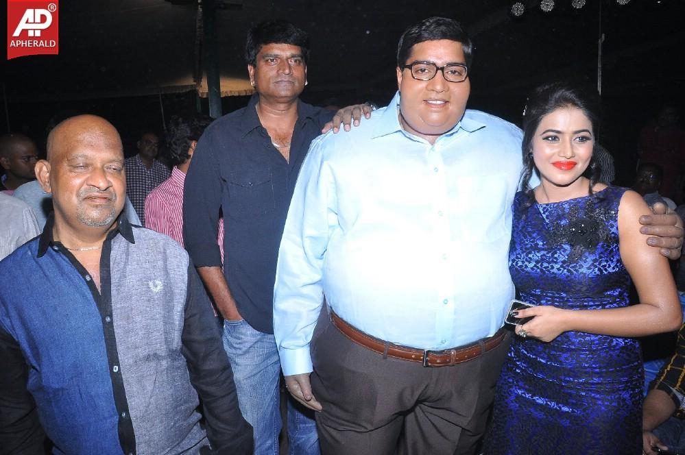 Laddu Babu Movie Audio Launch 2