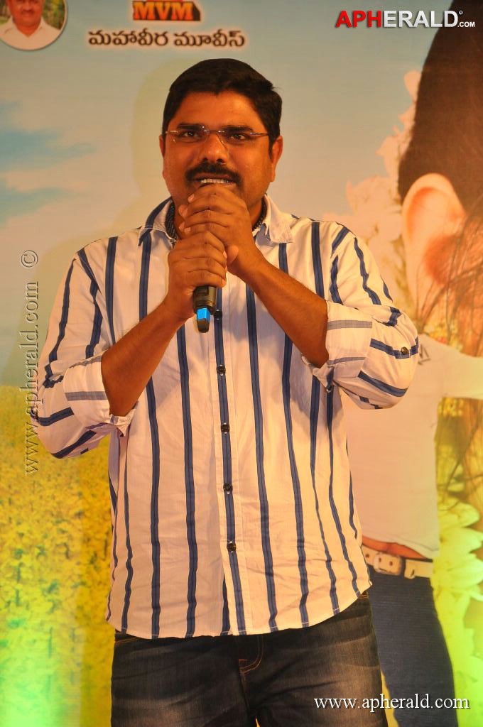 Love Life Movie Audio Launch