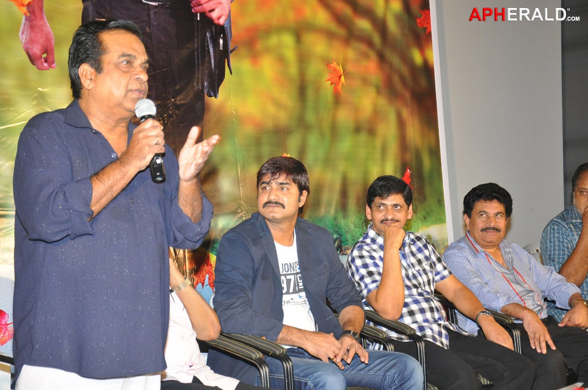 Lucky Movie Audio Release