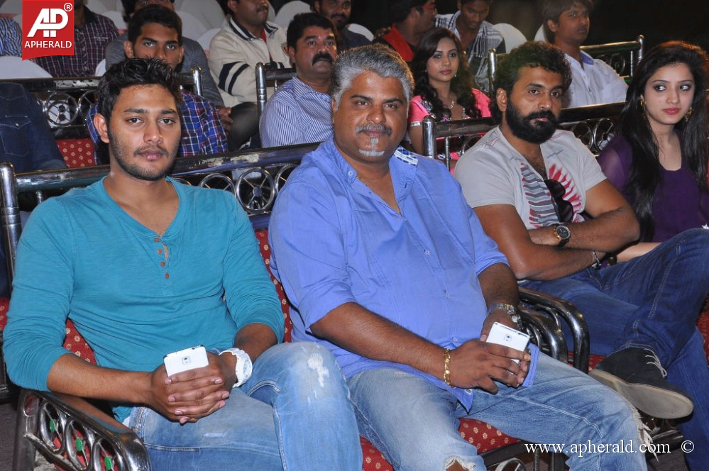 Naa Love Story Modalaindi Audio Launch