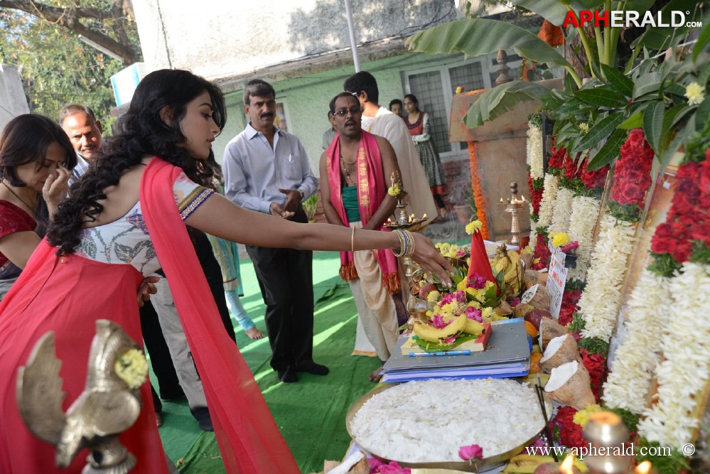 Naga Chaitanya New Movie Opening