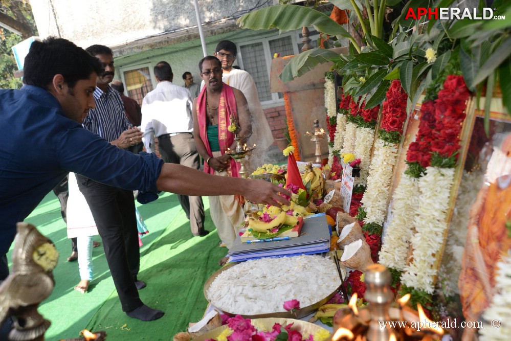 Naga Chaitanya New Movie Opening