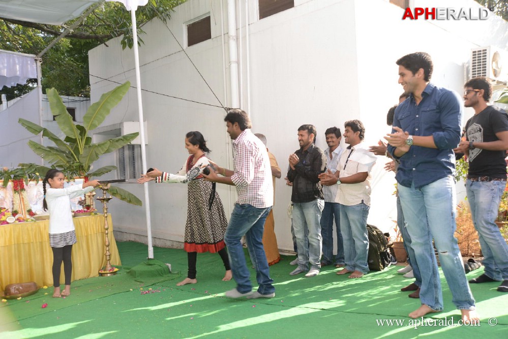 Naga Chaitanya New Movie Opening