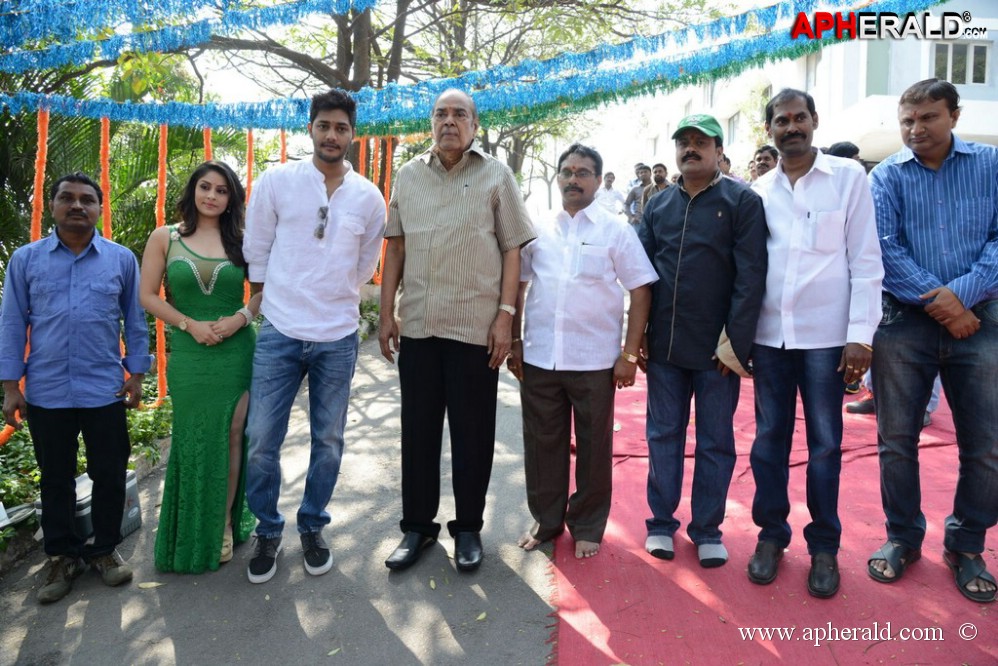 NSR Films New Movie Opening