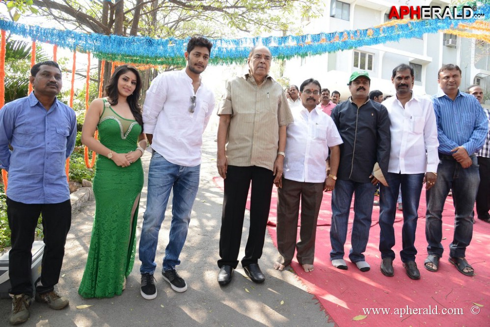 NSR Films New Movie Opening