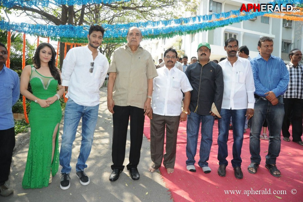 NSR Films New Movie Opening