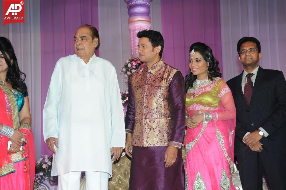 Raja Wedding Reception Photos