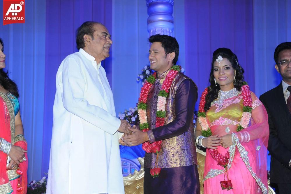 Raja Wedding Reception Photos