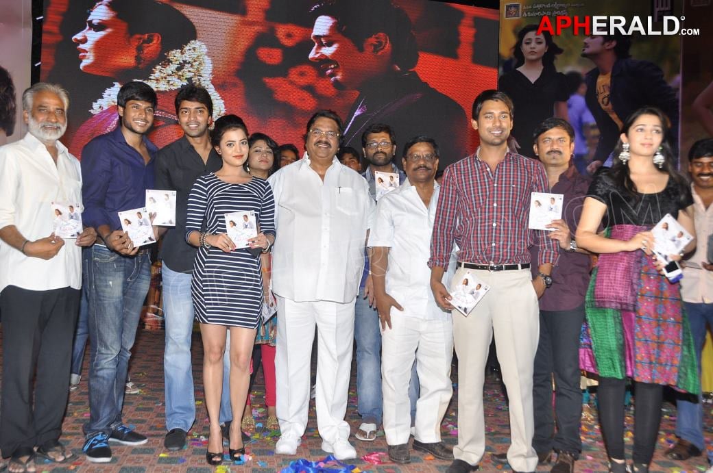 Saradaga Ammaitho Audio Release