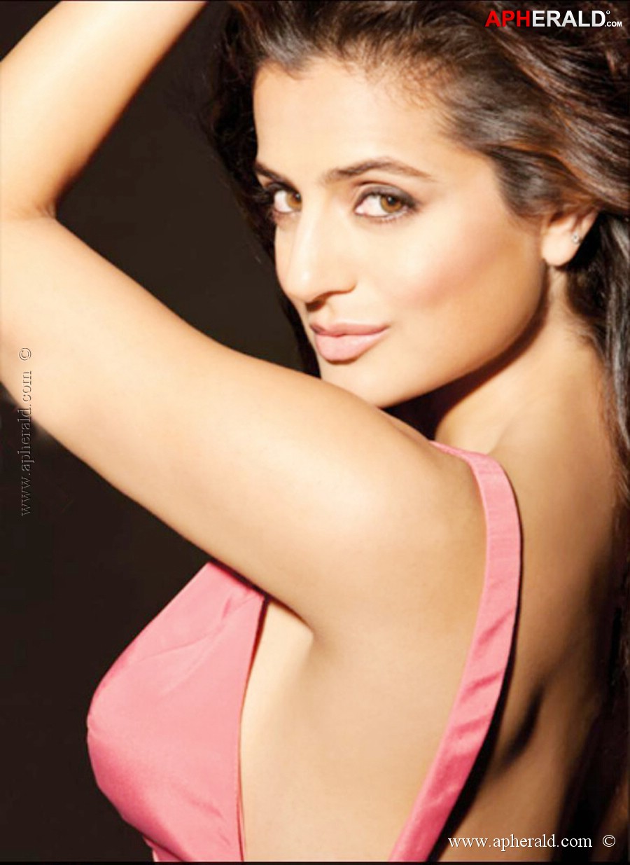 Amisha Patel Hot Stills