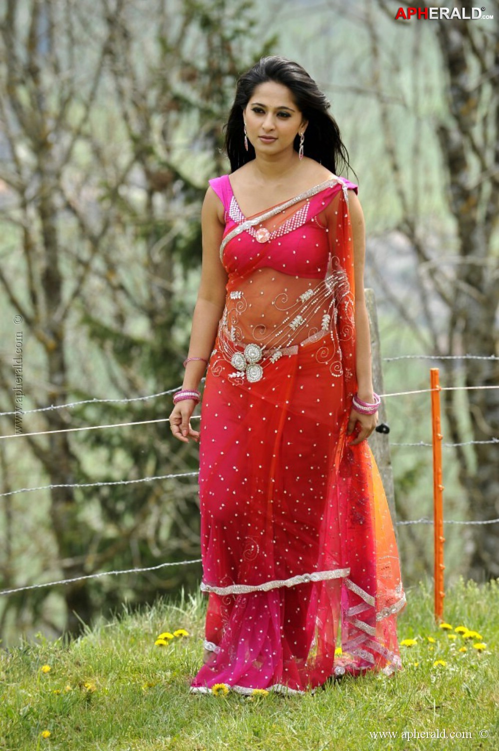 Anushka Shetty In Red Hot Saree