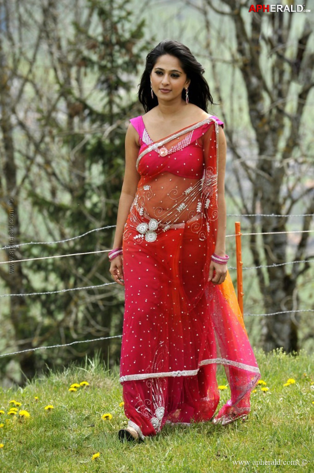 Anushka Shetty In Red Hot Saree