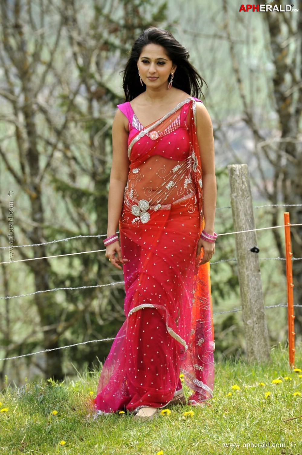 Anushka Shetty In Red Hot Saree