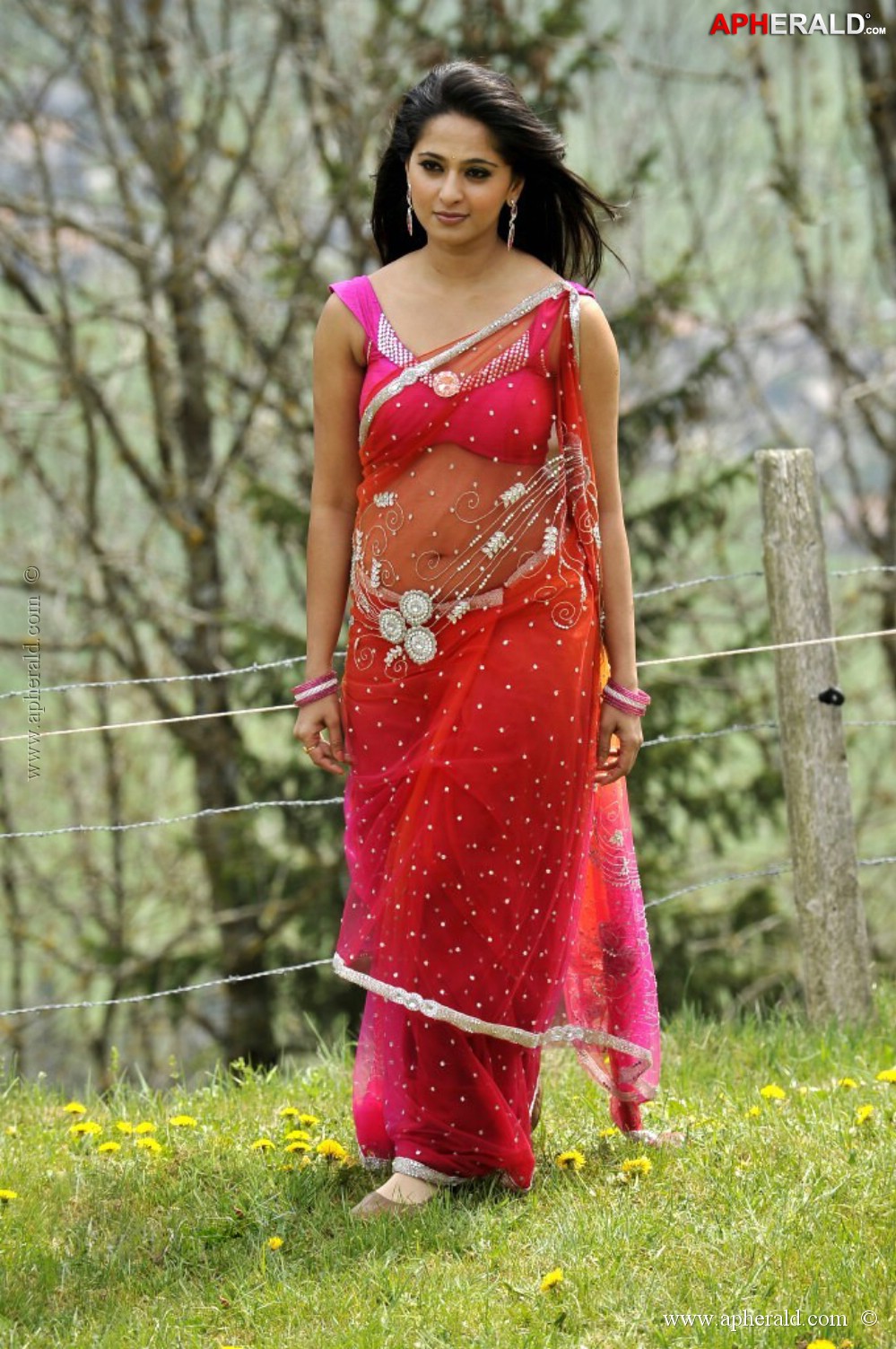 Anushka Shetty In Red Hot Saree