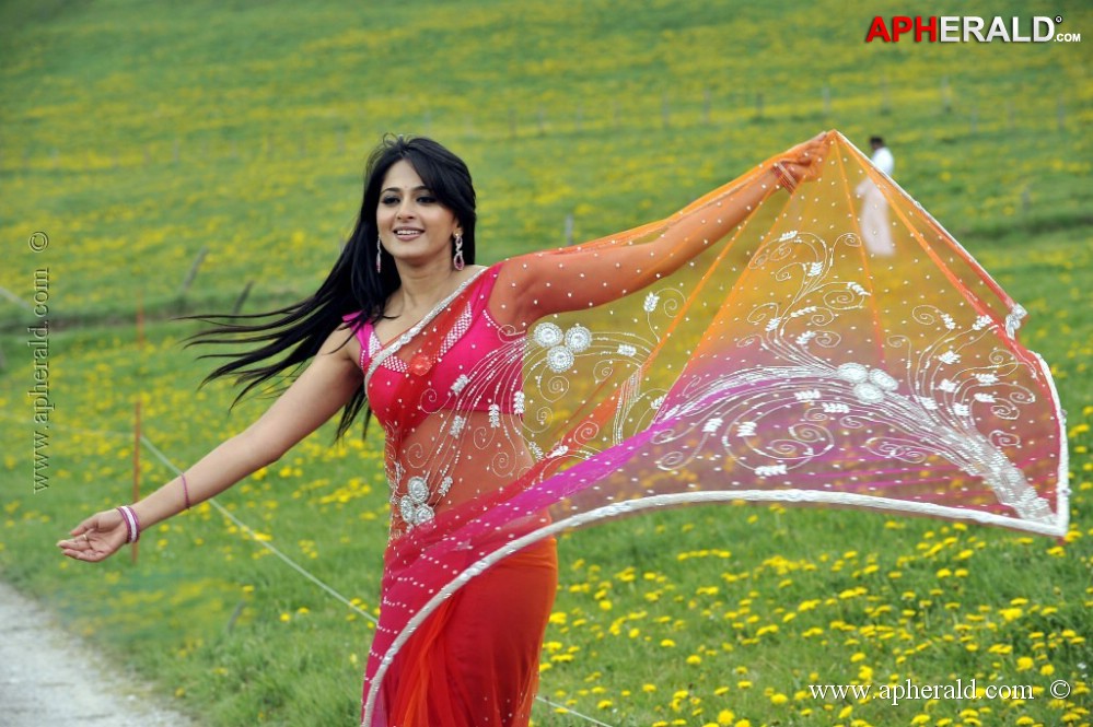 Anushka Shetty in Saree