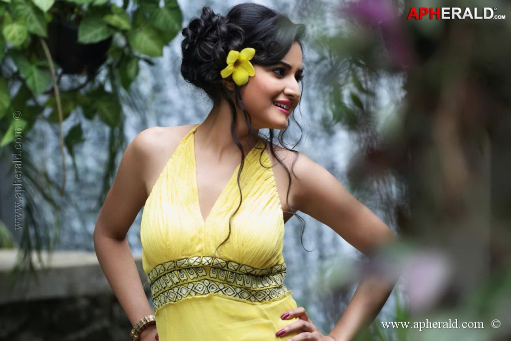 Harinakshi Portfolio Photos