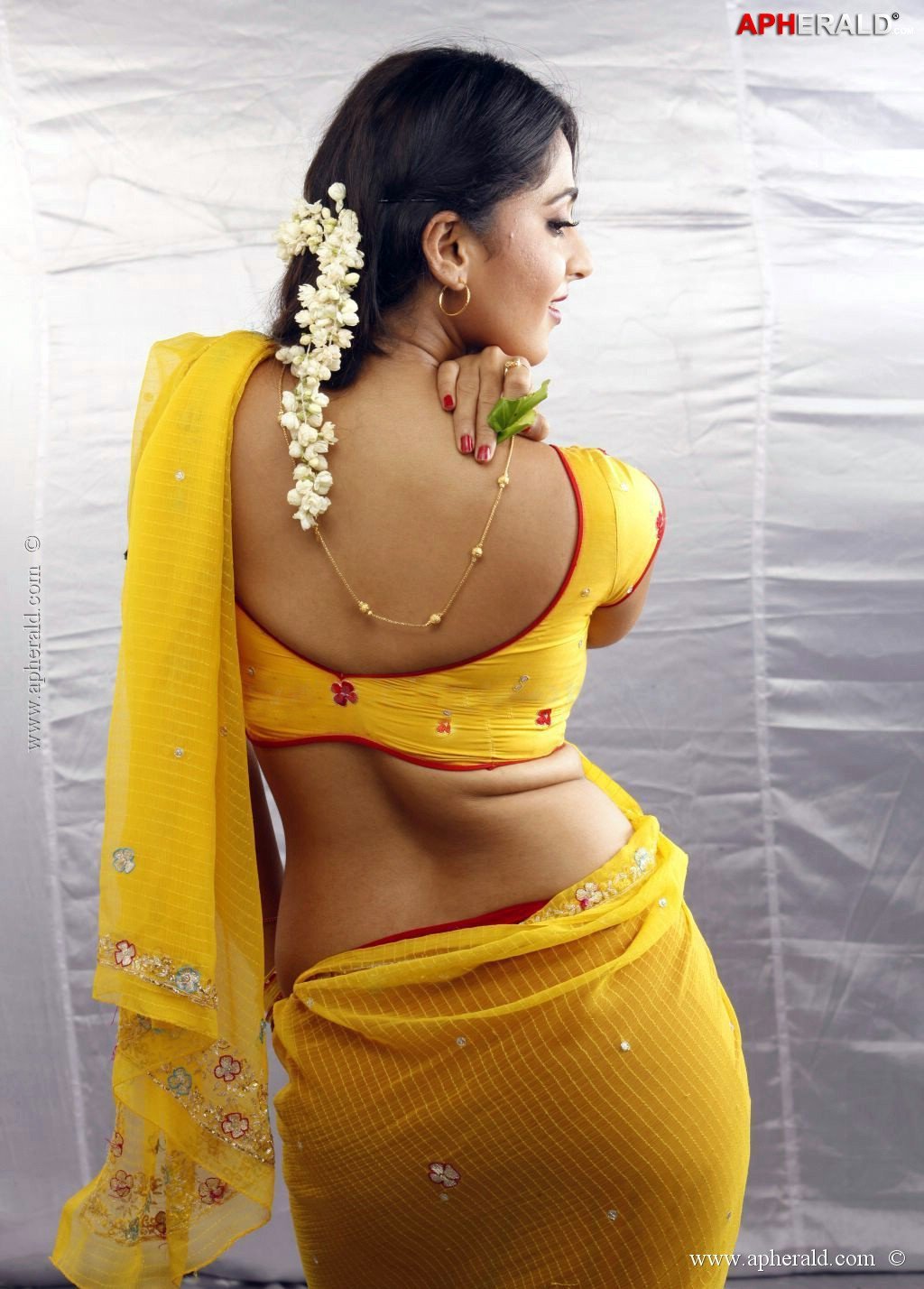 Hot Actress in Saree Photos