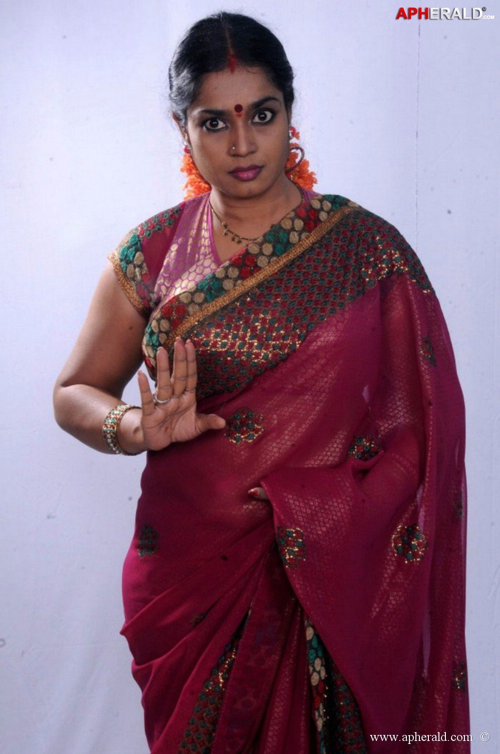 Jayavani Aunty Hot In Sraee Stills