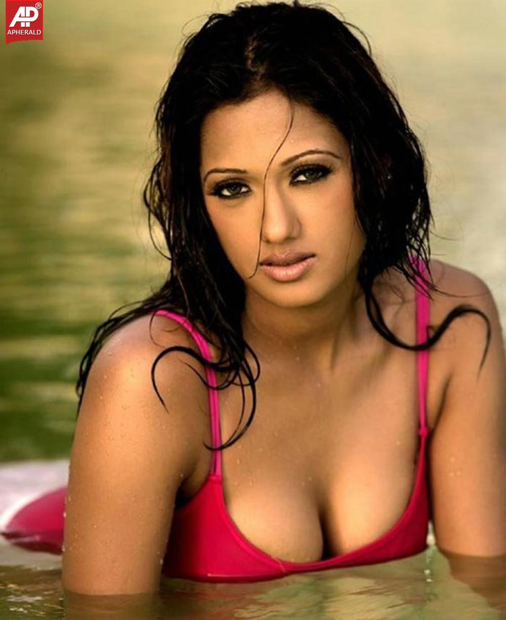 Kollywood Actress Hot Photo Gallery