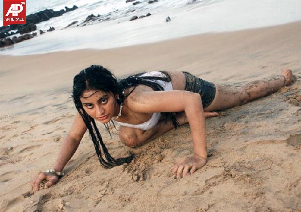 Kollywood n South Indian Top Actress Hot Pics