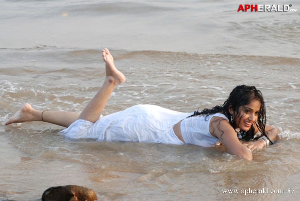 Madhavi Lata sexy Photoshoot