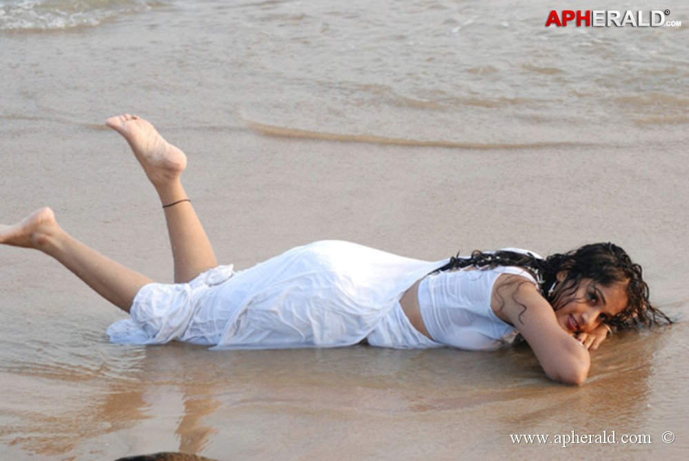 Madhavi Lata sexy Photoshoot