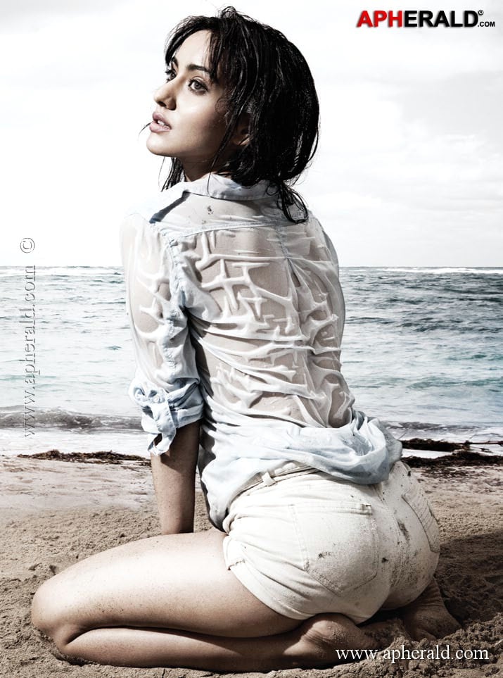 Neha Sharma Hot Pics