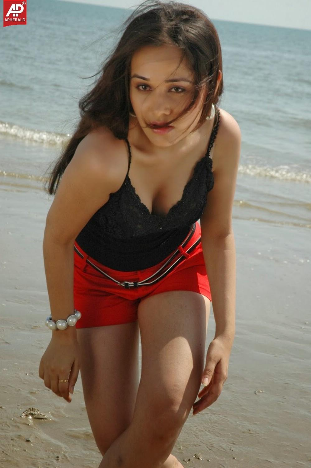 Nisha Kothari Hot Pictures