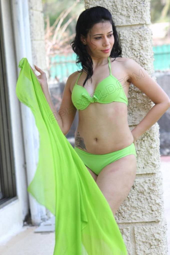 Rozlyn Khan Spicy Pics