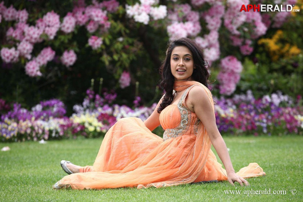 Sarah Jane Dias Hot Photos