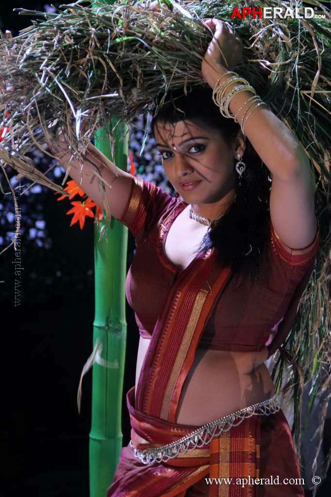 Tashu Kaushik Hot Pics 