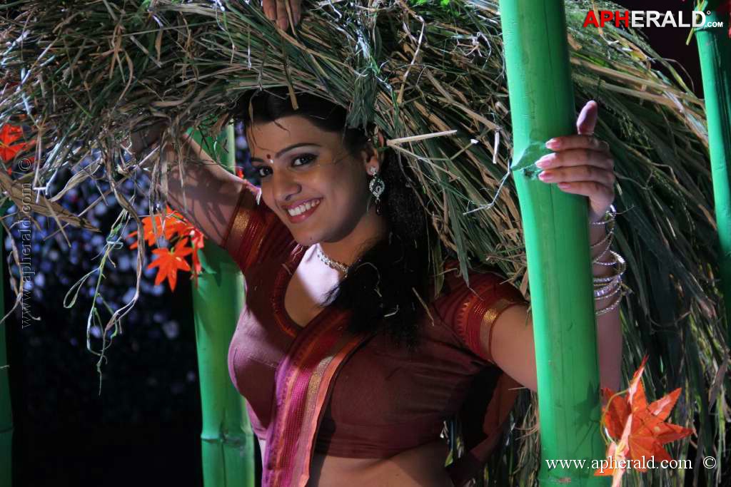 Tashu Kaushik Hot Pics 