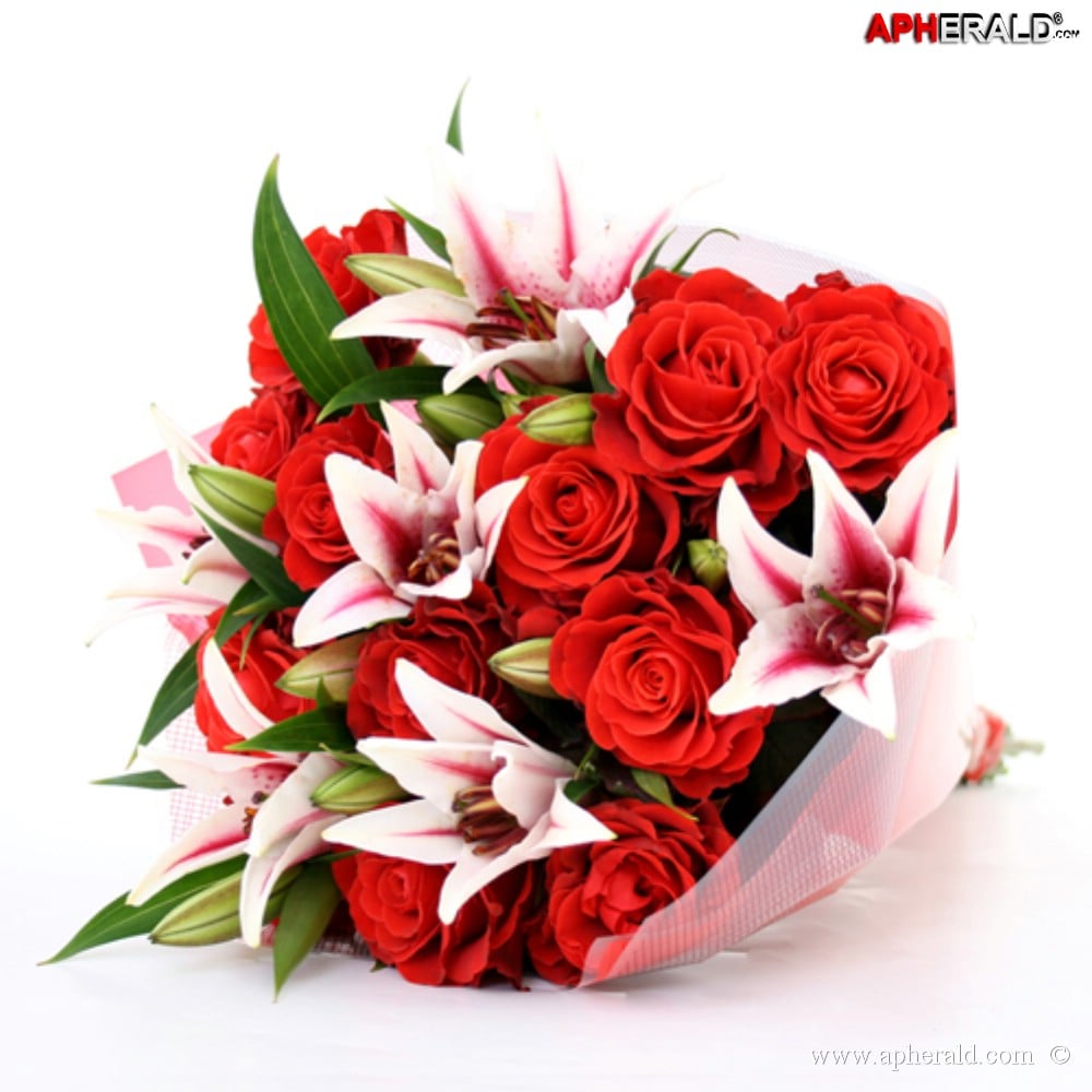 amazing red rose gallery