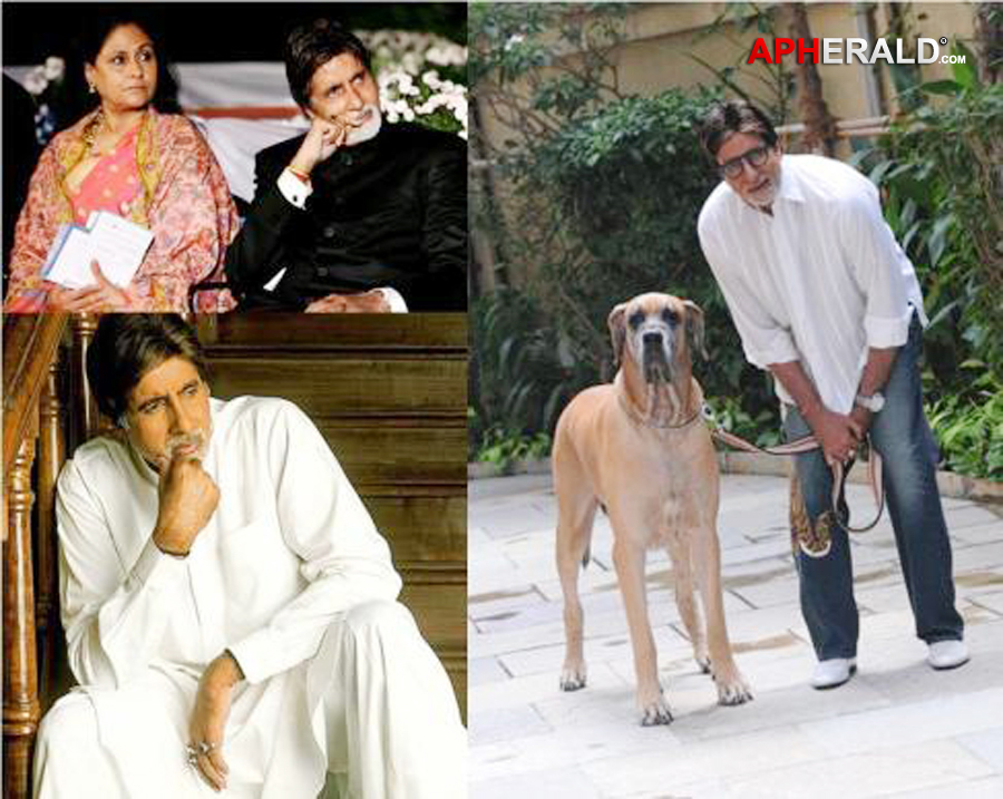 Amitabh Bachchan Family Photos