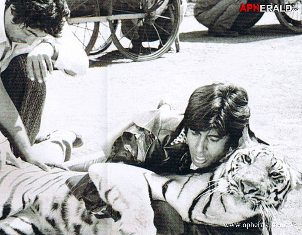 Amitabh Bachchan unseen photos