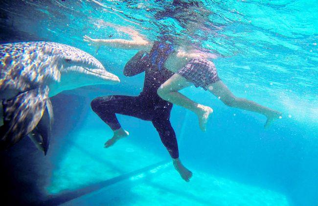 Dolphin Therapy for Kids With Down Syndrome