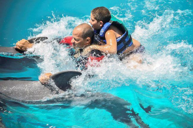 Dolphin Therapy for Kids With Down Syndrome