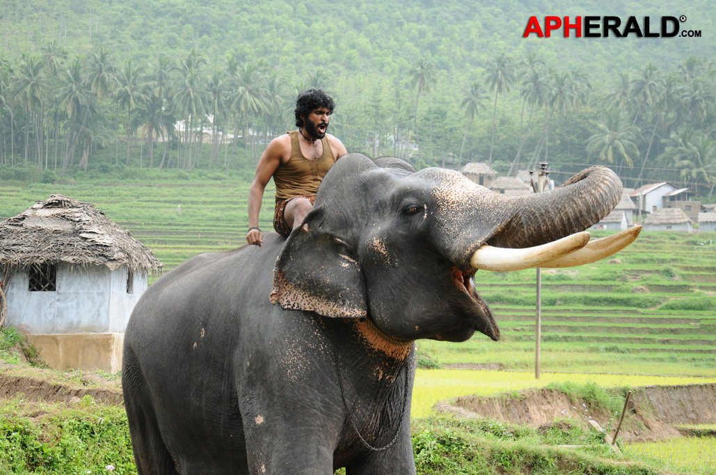 Gajaraja Movie Stills