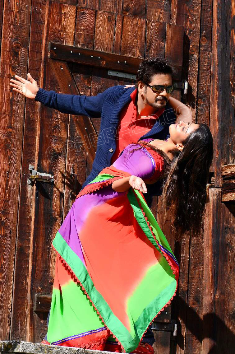 Greeku Veerudu Movie Latest Stills