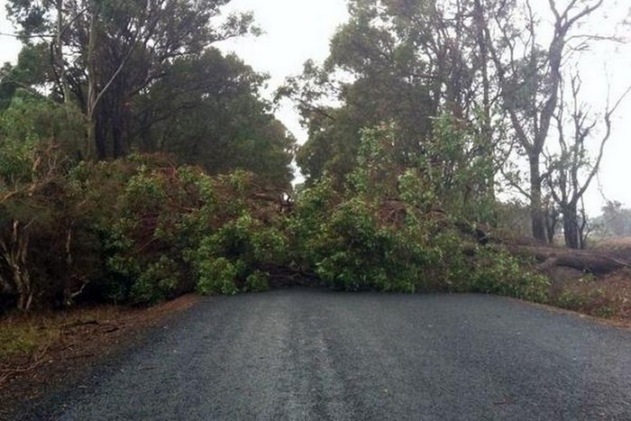 Hudhud cyclone violence in AP