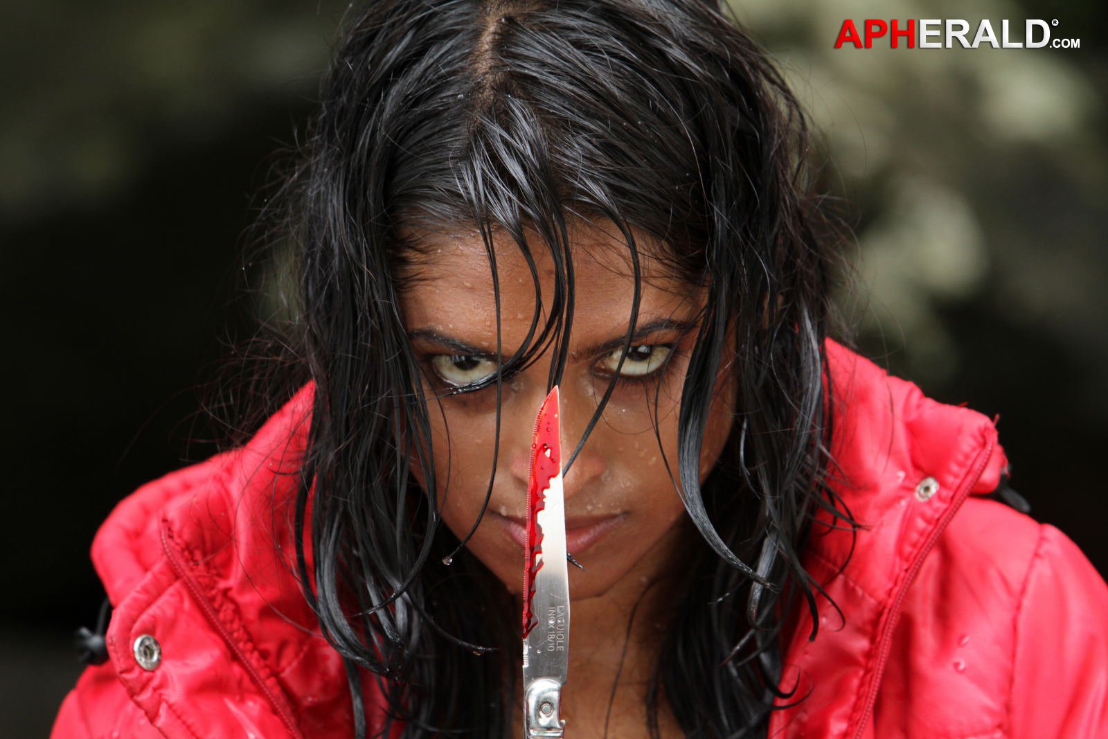 Idari Bhamala Kougili Movie Stills