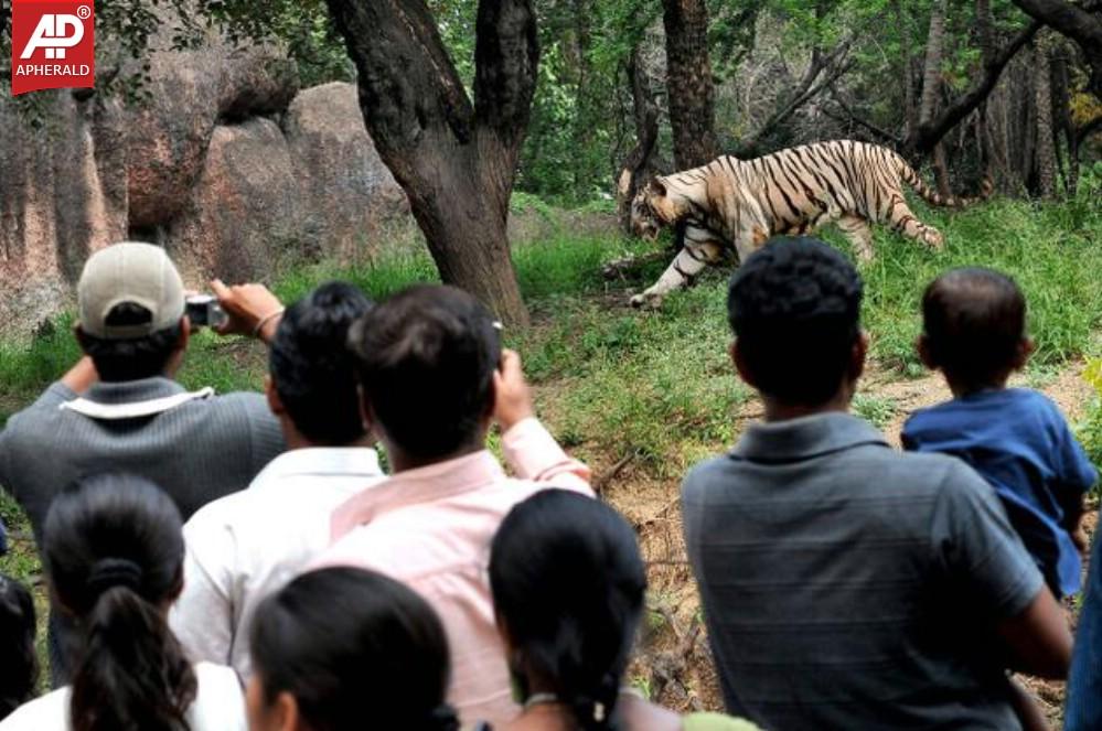 Nehru Zoological Park in Hyderabad Photos